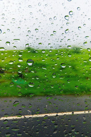 Rain Drops