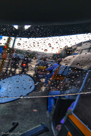 Nature's Beads: A Rainy Day Reflection