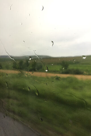 Whispers of a Rainy Day 🌧️