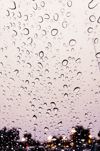 Whispers of a Rainy Day 🌧️✨