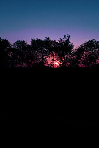 Twilight's Embrace 🌅