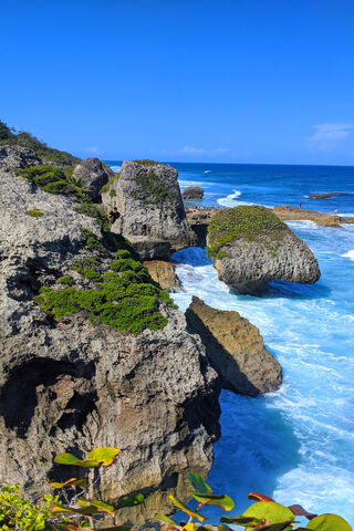 Escape to Survival Beach: Nature's Untamed Beauty 🌊🏝️