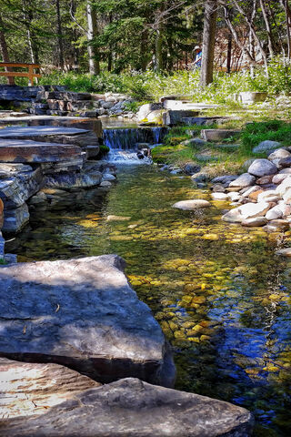 Whispers of the Stream 🌊✨