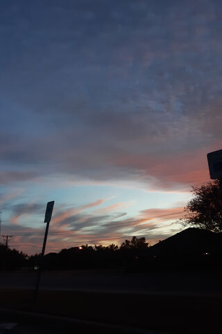 Twilight Whispers 🌅