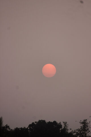 Sunset Serenity: A Gentle Embrace