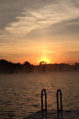 Golden Glow: The Sunburst Tree at Dusk 🌅✨