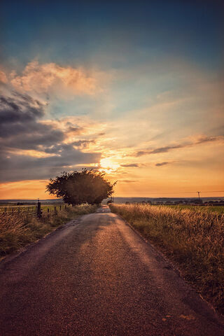 Pathway to the Horizon 🌅
