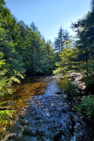 Golden Reflections: The Sunset River