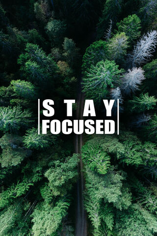 Stay Focused 3