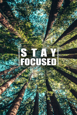 Stay Focused 10