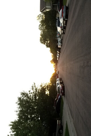 Golden Hour on the Avenue 🌅