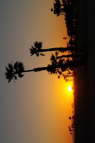 Golden Horizons at Sunset Beach 🌅