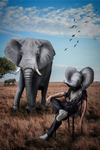 Embrace the Extraordinary