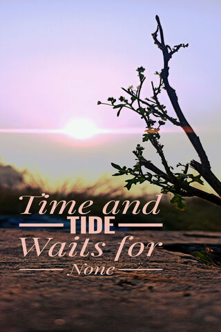 Moments in Motion: Nature's Embrace