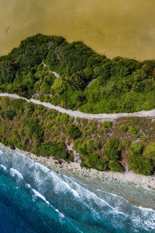 Nature's Cascade: A Serene Escape 🌊🍃