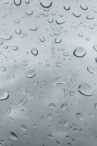 Nature's Crystal Beads: A Rainy Day Delight