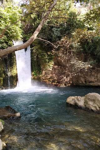 Serenity at the Waterfall: A Hidden Gem in Israel 🌊✨
