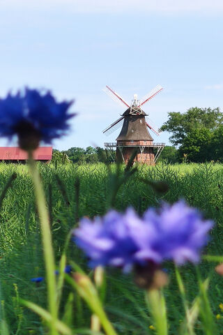 Whispers of the Wind: A Timeless Windmill