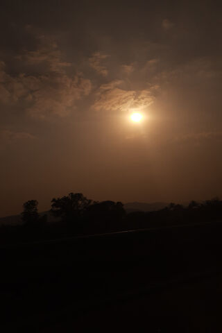 Golden Horizon: A Tranquil Sunset