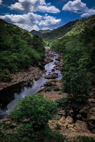 Nature's Cascade: A Serene Escape 🌊🌿