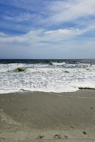 Sun-Kissed Shores: A Perfect Beach Escape 🌊☀️