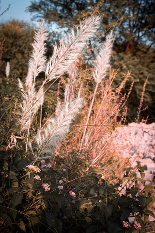 Whispers of Autumn: A Serene Landscape