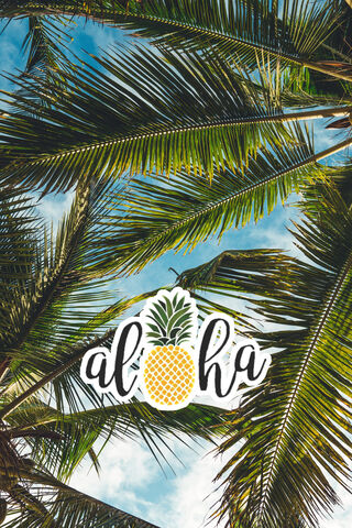 Tropical Vibes: Aloha Spirit 🌴🍍