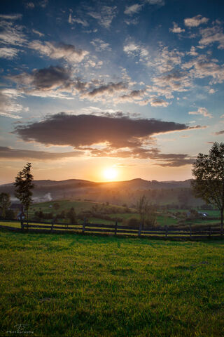 Golden Horizons: Embracing Autumn's Glow