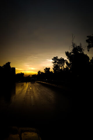 Golden Reflections After the Rain 🌧️✨