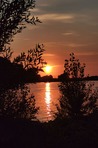 Golden Reflections: A Sunset Serenity 🌅✨