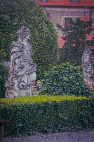 Whispers of Elegance: A Garden of Timeless Beauty