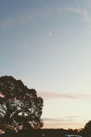 Dreamy Twilight Vibes �..
