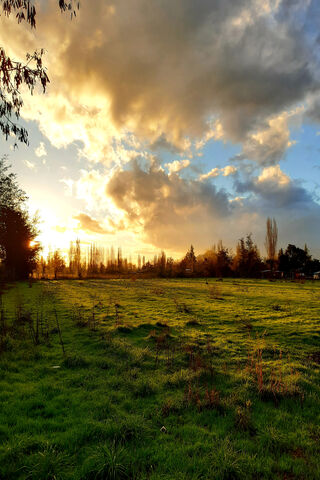 Golden Glow of Dusk 🌅✨