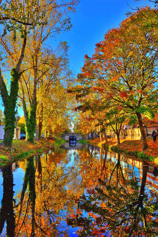 Reflections of Autumn Bliss 🍂✨