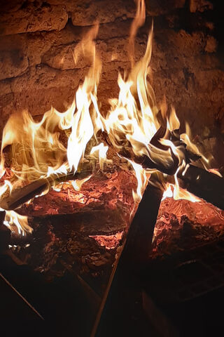 Embers of the Soul: A Dance of Flames