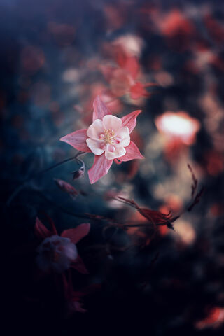 Whispers of the Blur Flower 🌸✨