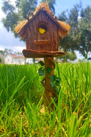Charming Retreat: The Birdhouse Haven 🐦🏡