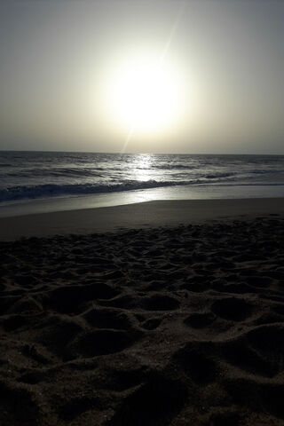 Golden Horizon: A Serene Beach Sunset 🌅