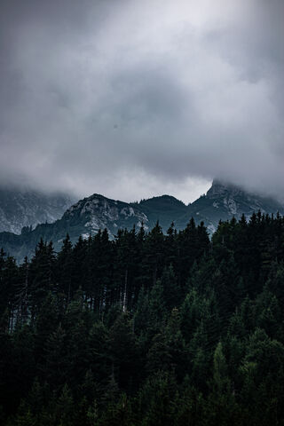Mystical Peaks of the Bucegi Mountains 🌲🏔️