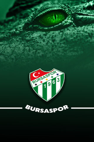 Bursaspor: The Green Crocodiles of Turkish Football 🐊⚽
