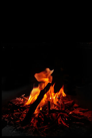 Embers of Passion 🔥
