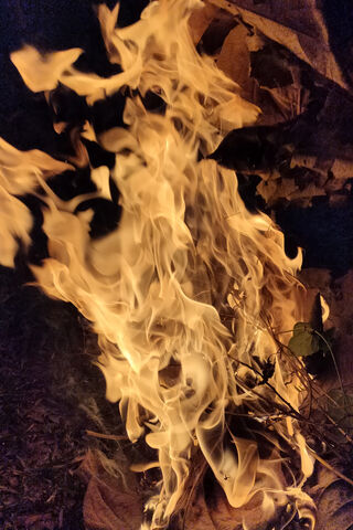 Dance of the Flames: A Fiery Embrace 🔥