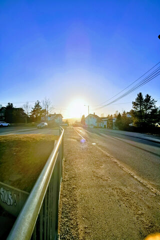 Blazing Sun
