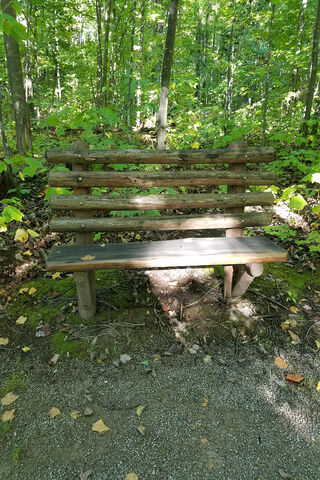 Nature's Rest Stop 🌳🪑