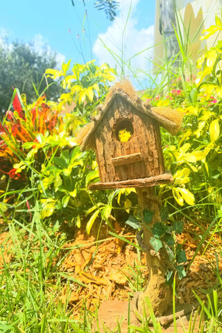 Whimsical Retreat: The Birdhouse Haven 🐦🏡