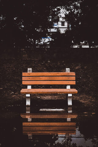 Reflections of Solitude: The Bench Mark