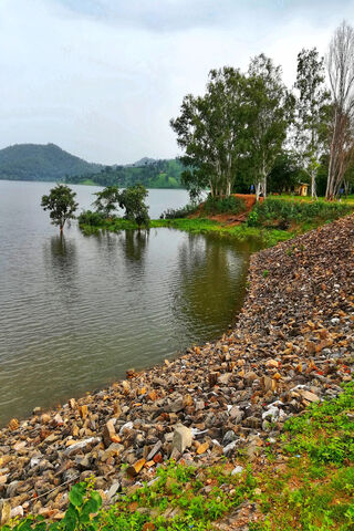 Tranquil Reflections at Beautiful Lake 🌊🌳