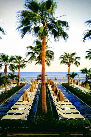 Tropical Paradise Awaits 🌴☀️