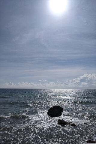 Serenity by the Shore 🌊☀️