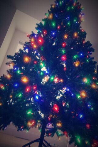 Christmas Tree